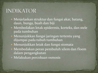  Menjelaskan struktur dan fungsi akar, batang,
daun, bunga, buah dan biji
 Membedakan letak epidermis, korteks, dan stele
pada tumbuhan
 Menunjukkan fungsi jaringan tertentu yang
dijumpai pada tubuh tumbuhan
 Menunjukkan letak dan fungsi stomata
 Membedakan peran pembuluh xilem dan floem
dalam pengangkutan
 Melakukan percobaan osmosis
 