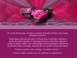 E a você, Boanerges, entrego o cuidado do jardim mineiro, com romãs, hortelãs e jasmins."  Ditas essas palavras ele partiu. O Paulo ficou muito feliz e pôs-se a cuidar do jardim japonês. O Hermógenes ficou muito feliz e pôs-se a cuidar do jardim inglês. Mas o Boanerges não era jardineiro. Mentira ao se oferecer para o emprego. Quando ele viu o jardim mineiro ele disse:  "Cuidar de jardins não é comigo. É trabalho demais..."  Trancou então o jardim com um cadeado e o abandonou.  