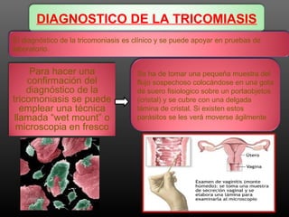 Para hacer una
confirmación del
diagnóstico de la
tricomoniasis se puede
emplear una técnica
llamada “wet mount” o
microscopia en fresco
DIAGNOSTICO DE LA TRICOMIASIS
Se ha de tomar una pequeña muestra del
flujo sospechoso colocándose en una gota
de suero fisiologico sobre un portaobjetos
(cristal) y se cubre con una delgada
lámina de cristal. Si existen estos
parásitos se les verá moverse ágilmente
El diagnóstico de la tricomoniasis es clínico y se puede apoyar en pruebas de
laboratorio.
 