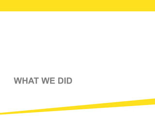 WHAT WE DID
 