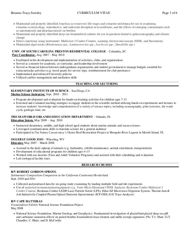 Curriculum vitae sections picture