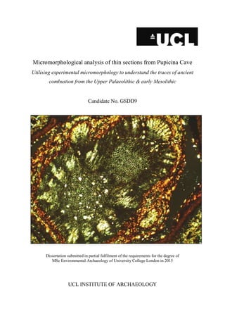 Micromorphological analysis of thin sections from Pupicina Cave
Utilising experimental micromorphology to understand the traces of ancient
combustion from the Upper Palaeolithic & early Mesolithic
Candidate No. GSDD9
Dissertation submitted in partial fulfilment of the requirements for the degree of
MSc Environmental Archaeology of University College London in 2015
UCL INSTITUTE OF ARCHAEOLOGY
 