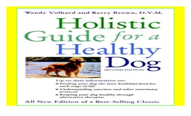 holistic guide for a healthy dog