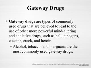 Gateway Drugs
• Gateway drugs are types of commonly
used drugs that are believed to lead to the
use of other more powerful mind-altering
and addictive drugs, such as hallucinogens,
cocaine, crack, and heroin.
– Alcohol, tobacco, and marijuana are the
most commonly used gateway drugs.
 