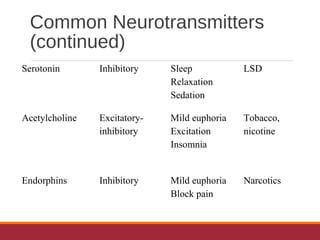 Common Neurotransmitters
(continued)
Serotonin Inhibitory Sleep
Relaxation
Sedation
LSD
Acetylcholine Excitatory-
inhibitory
Mild euphoria
Excitation
Insomnia
Tobacco,
nicotine
Endorphins Inhibitory Mild euphoria
Block pain
Narcotics
 