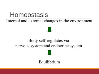 Homeostasis
Internal and external changes in the environment
Body self-regulates via
nervous system and endocrine system
Equilibrium
 