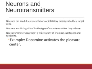 Neurons and
Neurotransmitters
Neurons can send discrete excitatory or inhibitory messages to their target
cells.
Neurons are distinguished by the type of neurotransmitter they release.
Neurotransmitters represent a wide variety of chemical substances and
functions.
◦Example: Dopamine activates the pleasure
center.
 