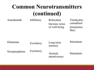 Anandamide
Glutamate
Norepinephrine
Inhibitory
Excitatory
Excitatory
Relaxation
Increase sense
of well-being
Long-term
memory
Arousal,
attentiveness
Tetrahydro-
cannabinol
(marijuana-
like)
Stimulants
Stimulants
Common Neurotransmitters
(continued)
 