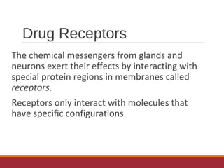 Drug Receptors
The chemical messengers from glands and
neurons exert their effects by interacting with
special protein regions in membranes called
receptors.
Receptors only interact with molecules that
have specific configurations.
 