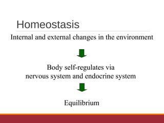 Homeostasis
Internal and external changes in the environment
Body self-regulates via
nervous system and endocrine system
Equilibrium
 