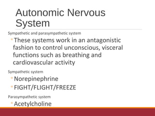 Autonomic Nervous
System
Sympathetic and parasympathetic system
◦These systems work in an antagonistic
fashion to control unconscious, visceral
functions such as breathing and
cardiovascular activity
Sympathetic system
◦Norepinephrine
◦FIGHT/FLIGHT/FREEZE
Parasympathetic system
◦Acetylcholine
 