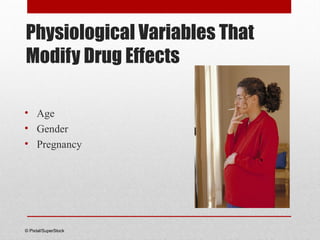 Physiological Variables That
Modify Drug Effects
• Age
• Gender
• Pregnancy
© Pixtal/SuperStock
 