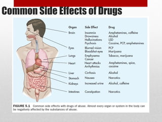 Common Side Effects of Drugs
 