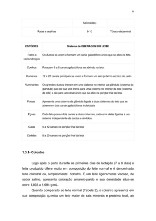 fusionadas)
Ratas e coelhas 8-10 Tóraco-abdominal
ESPÉCIES Sistema de DRENAGEM DO LEITE
Ratos e
camundongos
Os ductos se unem e formam um canal galactóforo único que se abre na teta.
Coelhos Possuem 6 a 8 canais galactóforos se abrindo na teta.
Humanos 12 a 20 canais principais se unem e formam um seio próximo ao bico do peito.
Ruminantes Os grandes ductos drenam em uma cisterna no interior da glândula (cisterna da
glândula) que por sua vez drena para uma cisterna no interior da teta (cisterna
da teta) e daí para um canal único que se abre na porção final da teta.
Porcas Apresenta uma cisterna da glândula ligada a duas cisternas do teto que se
abrem em dois canais galactóforos individuais
Éguas Cada teto possui dois canais e duas cisternas, cada uma delas ligadas a um
sistema independente de ductos e alvéolos.
Gatas 5 a 12 canais na porção final da teta
Cadelas 8 a 20 canais na porção final da teta
1.3.1- Colostro
Logo após o parto durante os primeiros dias de lactação (7 a 8 dias) o
leite produzido difere muito em composição do leite normal e é denominado
leite colostral ou, simplesmente, colostro. É um leite ligeiramente viscoso, de
sabor salino, apresenta coloração amarelo-pardo e sua densidade situa-se
entre 1,033 a 1,094 g/mL.
Quando comparado ao leite normal (Tabela 2), o colostro apresenta em
sua composição química um teor maior de sais minerais e proteína total, ao
6
 