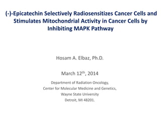 (-)-Epicatechin Selectively Radiosensitizes Cancer Cells and
Stimulates Mitochondrial Activity in Cancer Cells by
Inhibiting MAPK Pathway
Hosam A. Elbaz, Ph.D.
March 12th, 2014
Department of Radiation Oncology,
Center for Molecular Medicine and Genetics,
Wayne State University
Detroit, MI 48201.
 