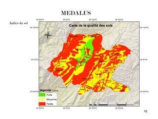 16
MEDALUS
Indice du sol
 