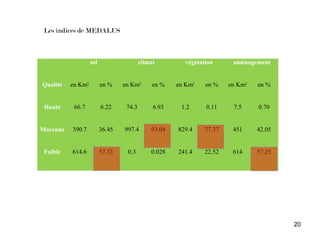 20
sol climat végétation aménagement
Qualité en Km2
en % en Km2
en % en Km2
en % en Km2
en %
Haute 66.7 6.22 74.3 6.93 1.2 0.11 7.5 0.70
Moyenne 390.7 36.45 997.4 93.04 829.4 77.37 451 42.05
Faible 614.6 57.33 0.3 0.028 241.4 22.52 614 57.25
Les indices de MEDALUS
 