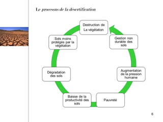 Le processus de la désertification
6
 