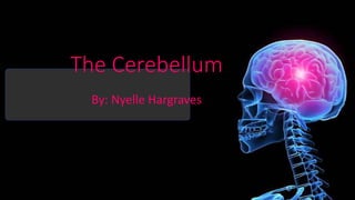 The Cerebellum
By: Nyelle Hargraves
 