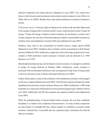 16
substrate metabolism and eating behaviour (Qatanani & Lazar 2007). Two studies have
shown a link between neural mechanisms and systemic insulin resistance in rats (Obici et al.
2002a, Obici et al. 2002b). Whether these same neural mechanisms are present in humans is
unclear.
Cell-intrinsic factors. In obesity, high circulating levels of fatty acids and other lipids result
in the storage of triglycerides in muscles and the viscera, which has been termed “ectopic fat
storage.” Ectopic fat storage is linked to insulin resistance; the mechanism is unclear, but it
is likely related to the activation of harmful pathways related to mitochondrial dysfunction,
oxidative stress and endoplasmic reticulum (ER) stress (Qatanani & Lazar 2007).
Oxidative stress refers to the accumulation of harmful reactive oxygen species (ROS)
(Qatanani & Lazar 2007). Oxidative stress correlates with fat accumulation in both humans
and mice (Halliwell 1995). Furthermore, studies have shown that improving the ratio of anti-
oxidants to ROS ameliorates insulin resistance in humans and rats (Konrad et al. 1999,
Khamaisi et al. 1997).
Mitochondrial dysfunction may also be linked to insulin resistance. It is thought to contribute
to ectopic fat storage (Petersen & Shulman 2006). Furthermore, insulin resistance is
associated with mitochondrial dysfunction and accompanied by high levels of triglycerides
in the liver and muscle cells of elderly individuals (Petersen et al. 2003).
Finally, obesity places a strain on the machinery of the endoplasmic reticulum, which triggers
an ER stress response (Qatanani & Lazar 2007). This ER stress response disrupts the insulin
signalling chain and causes insulin resistance (Ozcan et al. 2004). Furthermore, a 2005 study
found that over-expression of ER protectors in mice protected against type 2 diabetes (Ozawa
et al. 2005). Additionally, the ER stress response may augment oxidative stress (Qatanani &
Lazar 2007).
While the pathophysiology of obesity-related insulin resistance has not been completely
elucidated, it is related to the components discussed above. As many of these components
are inter-related, it is probable that they interact together to contribute to systemic insulin
resistance. Alternatively, it is possible that one component plays a dominant role while the
other are secondary.
 