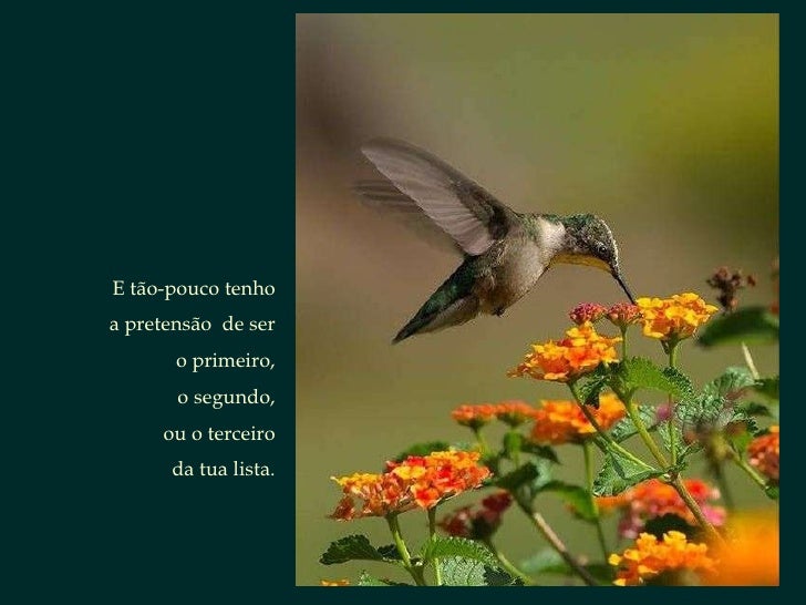 Poema aos Amigos [em portugues] (por: carlitosrangel)