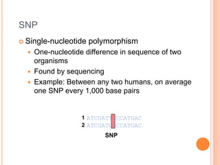 Molecular mapping | PPTX