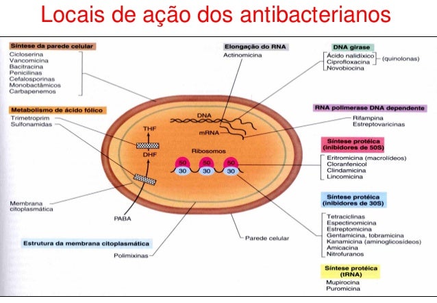 Aula de Farmacologia sobre Fármacos Antimicrobianos.
