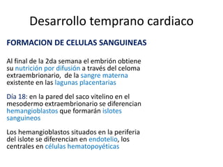 Desarrollo temprano cardiaco
FORMACION DE CELULAS SANGUINEAS
Al final de la 2da semana el embrión obtiene
su nutrición por difusión a través del celoma
extraembrionario, de la sangre materna
existente en las lagunas placentarias
Día 18: en la pared del saco vitelino en el
mesodermo extraembrionario se diferencian
hemangioblastos que formarán islotes
sanguineos
Los hemangioblastos situados en la periferia
del islote se diferencian en endotelio, los
centrales en células hematopoyéticas
 