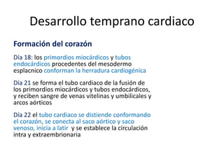 Desarrollo temprano cardiaco
Formación del corazón
Día 18: los primordios miocárdicos y tubos
endocárdicos procedentes del mesodermo
esplacnico conforman la herradura cardiogénica
Día 21 se forma el tubo cardiaco de la fusión de
los primordios miocárdicos y tubos endocárdicos,
y reciben sangre de venas vitelinas y umbilicales y
arcos aórticos
Día 22 el tubo cardiaco se distiende conformando
el corazón, se conecta al saco aórtico y saco
venoso, inicia a latir y se establece la circulación
intra y extraembrionaria
 