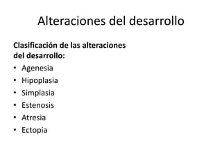 Alteraciones del desarrollo
Clasificación de las alteraciones
del desarrollo:
• Agenesia
• Hipoplasia
• Simplasia
• Estenosis
• Atresia
• Ectopia
 