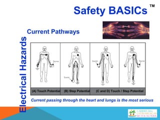 Safety BASICs
ElectricalHazards
Current Pathways
TM
(A) Touch Potential (B) Step Potential (C and D) Touch / Step Potential
Current passing through the heart and lungs is the most serious
 