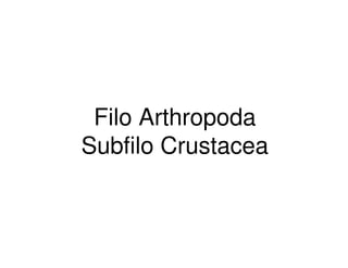 Filo Arthropoda
Subfilo Crustacea
 