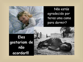 Eles gostariam de não acordar!!!   Não estás agradecido por teres uma cama para dormir?  