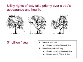Utility rights-of-way take priority over a tree’s appearance and health. $1 billion / year General arborist  10 feet from 50,000 volt line Line clearance training 15 feet from 552,000 volt line 2 feet from 15,000 volt line 