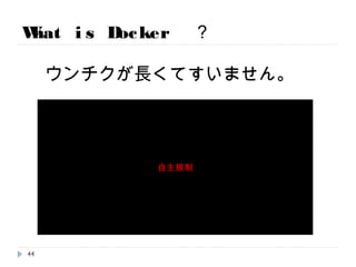 What is Docker ？
ウンチクが長くてすいません。
44
自主規制
 