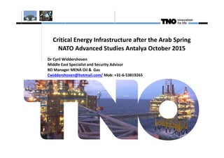 Critical Energy Infrastructure after the Arab Spring
NATO Advanced Studies Antalya October 2015
Dr Cyril Widdershoven
Middle East Specialist and Security Advisor
BD Manager MENA Oil & Gas
Cwiddershoven@hotmail.com/ Mob: +31-6-53819265
 