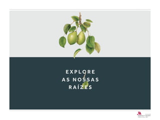 E X P L O R E
A S N O S S A S
R A I Z E SR A I Z E S
 