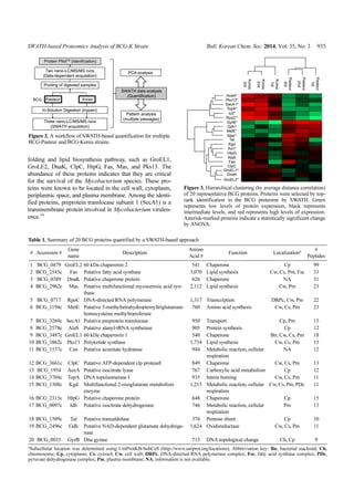 SWATH-based Proteomics Analysis of BCG-K Strain Bull. Korean Chem. Soc. 2014, Vol. 35, No. 3 935
folding and lipid biosynthesis pathway, such as GroEL1,
GroLE2, DnaK, ClpC, HtpG, Fas, Mas, and Pks13. The
abundance of these proteins indicates that they are critical
for the survival of the Mycobacterium species. These pro-
teins were known to be located in the cell wall, cytoplasm,
periplasmic space, and plasma membrane. Among the identi-
fied proteins, preprotein translocase subunit 1 (SecA1) is a
transmembrane protein involved in Mycobacterium virulen-
ence.14
Figure 2. A workflow of SWATH-based quantification for multiple
BCG-Pasteur and BCG-Korea strains.
Table 1. Summary of 20 BCG proteins quantified by a SWATH-based approach
# Accession #
Gene
name
Description
Amino
Acid #
Function Localizationa #
Peptides
1 BCG_0479 GroEL2 60 kDa chaperonin 2 541 Chaperone Cp 99
2 BCG_2545c Fas Putative fatty acid synthase 3,070 Lipid synthesis Cw, Cs, Pm, Fsc 33
3 BCG_0389 DnaK Putative chaperone protein 626 Chaperone NA 31
4 BCG_2962c Mas Putative multifunctional mycocerosic acid syn-
thase
2,112 Lipid synthesis Cw, Pm 23
5 BCG_0717 RpoC DNA-directed RNA polymerase 1,317 Transcription DRPc, Cw, Pm 22
6 BCG_1194c MetE Putative 5-methyltetrahydropteroyltriglutamate-
homocysteine methyltransferase
760 Amino acid synthesis Cw, Cs, Pm 23
7 BCG_3269c SecA1 Putative preprotein translocase 950 Transport Cp, Pm 15
8 BCG_2578c AlaS Putative alanyl-tRNA synthetase 905 Protein synthesis Cp 12
9 BCG_3487c GroEL1 60 kDa chaperonin 1 540 Chaperone Bn, Cw, Cs, Pm 18
10 BCG_3862c Pks13 Polyketide synthase 1,734 Lipid synthesis Cw, Cs, Pm 15
11 BCG_1537c Can Putative aconitate hydratase 944 Metabolic reaction, cellular
respiration
NA 12
12 BCG_3661c ClpC Putative ATP-dependent clp proteasE 849 Chaperone Cw, Cs, Pm 13
13 BCG_1954 AceA Putative isocitrate lyase 767 Carboxylic acid metabolism Cp 12
14 BCG_3704c TopA DNA topoisomerase I 935 Intron homing Cw, Cs, Pm 11
15 BCG_1308c Kgd Multifunctional 2-oxoglutarate metabolism
enzyme
1,215 Metabolic reaction, cellular
respiration
Cw, Cs, Pm, PDc 11
16 BCG_2315c HtpG Putative chaperone protein 648 Chaperone Cp 15
17 BCG_0097c Idh Putative isocitrate dehydrogenase 746 Metabolic reaction, cellular
respiration
Pm 13
18 BCG_1509c Tal Putative transaldolase 374 Pentose shunt Cp 10
19 BCG_2496c Gdh Putative NAD-dependent glutamate dehydroge-
nase
1,624 Oxidoreductase Cw, Cs, Pm 11
20 BCG_0035 GyrB Dna gyrase 715 DNA topological change Ch, Cp 9
a
Subcellular location was determined using UniProtKB-SubCell (http://www.uniprot.org/locations), Abbreviation key: Bn, bacterial nucleoid; Ch,
chromosome; Cp, cytoplasm; Cs, cytosol; Cw, cell wall; DRPc, DNA-directed RNA polymerase complex; Fsc, fatty acid synthase complex; PDc,
pyruvate dehydrogenase complex; Pm, plasma membrane; NA, information is not available.
Figure 3. Hierarchical clustering (by average distance correlation)
of 20 representative BCG proteins. Proteins were selected by top-
rank identification in the BCG proteome by SWATH. Green
represents low levels of protein expression, black represents
intermediate levels, and red represents high levels of expression.
Asterisk-marked proteins indicate a statistically significant change
by ANOVA.
 