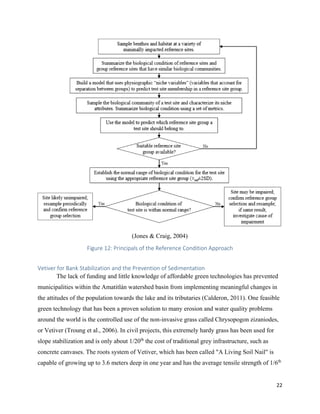 22
(Jones & Craig, 2004)
Figure 12: Principals of the Reference Condition Approach
Vetiver for Bank Stabilization and the Prevention of Sedimentation
The lack of funding and little knowledge of affordable green technologies has prevented
municipalities within the Amatitlán watershed basin from implementing meaningful changes in
the attitudes of the population towards the lake and its tributaries (Calderon, 2011). One feasible
green technology that has been a proven solution to many erosion and water quality problems
around the world is the controlled use of the non-invasive grass called Chrysopogon zizaniodes,
or Vetiver (Troung et al., 2006). In civil projects, this extremely hardy grass has been used for
slope stabilization and is only about 1/20th
the cost of traditional grey infrastructure, such as
concrete canvases. The roots system of Vetiver, which has been called "A Living Soil Nail" is
capable of growing up to 3.6 meters deep in one year and has the average tensile strength of 1/6th
 