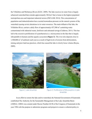 5
the Villalobos and Michatoya Rivers (ILEC, 2009). The lake receives its water from a largely
urbanized watershed that extends approximately 386 km2
that is home to the highest populated
metropolitan area and important industrial sectors (INCLAM, 2014). This concentration of
population and industrialization have exerted tremendous pressure on the natural systems of the
watershed causing severe alterations to its water resources. The main influent of the lake, the
Villalobos River, carriers a daily flow of approximately 437,500 m3
containing water
contaminated with industrial waste, fertilizers and untreated sewage (Calderon, 2011). This has
led to the excessive proliferation of cyanobacteria (i.e. microcystins) in the lake that is largely
inhospitable to humans and the aquatic ecosystem (Figure 2). The river also deposits close to
1,500,000 m3
of sediment each year as a result of high levels of erosion from deforestation,
mining and poor land-use practices, which has caused the lake to slowly loose volume (Reyna,
2009).
Figure 1: Lake Amatitlán Figure 2: Proliferation of Microcystins in Lake
Amatitlán
In an effort to restore the lake and its watershed, the National Government of Guatemala
established The Authority for the Sustainable Management of the Lake Amatitlán Basin
(AMSA). AMSA was created under Decree Number 64-96 of the Congress of Guatemala in the
year 1996 with the purpose to administer programs and projects to ensure a coherent policy to
 