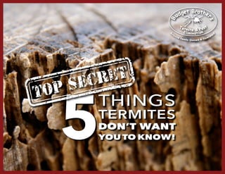1
THINGS
TERMITES
DON’T WANT
YOU TO KNOW!5
 
