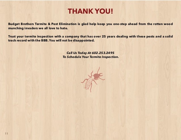 Budget Brothers Ebook