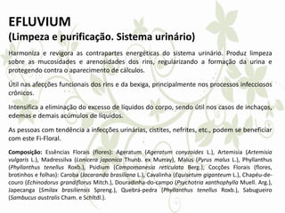 EFLUVIUM
(Limpeza e purificação. Sistema urinário)
Harmoniza e revigora as contrapartes energéticas do sistema urinário. Produz limpeza
sobre as mucosidades e arenosidades dos rins, regularizando a formação da urina e
protegendo contra o aparecimento de cálculos.
Útil nas afecções funcionais dos rins e da bexiga, principalmente nos processos infecciosos
crônicos.
Intensifica a eliminação do excesso de líquidos do corpo, sendo útil nos casos de inchaços,
edemas e demais acúmulos de líquidos.
As pessoas com tendência a infecções urinárias, cistites, nefrites, etc., podem se beneficiar
com este Fi-Floral.
Composição: Essências Florais (flores): Ageratum (Ageratum conyzoides L.), Artemisia (Artemisia
vulgaris L.), Madressilva (Lonicera japonica Thunb. ex Murray), Malus (Pyrus malus L.), Phyllanthus
(Phyllanthus tenellus Roxb.), Psidium (Campomanesia reticulata Berg.); Cocções Florais (flores,
brotinhos e folhas): Caroba (Jacaranda brasiliana L.), Cavalinha (Equisetum giganteum L.), Chapéu-de-
couro (Echinodorus grandiflorus Mitch.), Douradinha-do-campo (Psychotria xanthophylla Muell. Arg.),
Japecanga (Smilax brasiliensis Spreng.), Quebra-pedra (Phyllanthus tenellus Roxb.), Sabugueiro
(Sambucus australis Cham. e Schltdl.).
 