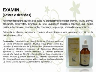 EXAMIN
(Testes e decisões)
Recomendado para aqueles que estão na expectativa de realizar exames, testes, provas,
concursos, entrevistas, cirurgias, ou seja, quaisquer situações especiais que exijam
maior autocontrole, concentração, confiança, segurança, serenidade e otimismo.
Estimula a clareza interna e confere discernimento nos momentos críticos de
decisão e escolha.
Composição: Essências Florais (flores): Basilicum (Ocimum basilicum
L.), Emilia (Plumbago capensis Thunb.), Ficus (Ficus carica L.),
Lavandula (Lavandula vera DC.), Momordica (Momordica charantia
L.), Origanum (Origanum majorana L.), Rosmarinus (Rosmarinus
officinalis L.), Sonchus (Sonchus oleraceus L.), Tabebuia (Tabebuia
chrysotricha (Mart. ex DC.) St.); Cocções Florais (flores, brotinhos e
folhas): Alfavaca (Ocimum basilicum L.), Alfazema (Lavandula vera
DC.), Funcho (Foeniculum vulgare Miller), Melissa (Melissa officinalis
L.), Menta (Menta piperita L.), Sálvia (Salvia officinalis L.).
 