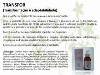 TRANSFOR
(Transformação e adaptabilidade)
Para situações de sofrimento que requerem autotransformação.
Induz a aceitação de uma nova situação e favorece o abandono de um velho hábito ou
padrão. Ajuda no aflorar das forças indispensáveis para que o indivíduo encontre equilíbrio,
adapte- se e assimile o surgimento das transitoriedades ou rupturas na vida.
Sugere o usufruir das potencialidades implícitas nas mudanças.
Útil nos períodos de transição biológica e psíquica: dentição, puberdade, adolescência,
menopausa, andropausa, mudança de cidade, emprego, estado civil, etc.
Desenvolve os conceitos de adaptabilidade e aceitação.
Composição: Essências Florais (flores): Ageratum (Ageratum conyzoides L.),
Guinea (Petiveria alliacea L.), Ignea (Pyrostegia ignea (Vell.) Presl.), Jasminum
(Jasminum officinalle (L.) Stokes), Millefolium (Achillea millefolium L.), Origanum
(Origanum majorana L.), Phyllanthus (Phyllanthus tenellus Roxb.), Salvia (Salvia
officinalis L.), Silene (Pentas lanceolata (Forssk.) Deflers); Cocções Florais (flores,
brotinhos e folhas): Alfavaca (Ocimum basilicum L.), Camomila (Matricaria
chamomilla L.), Funcho (Foeniculum vulgare Miller), Quebra-pedra (Phyllanthus
tenellus Roxb.), Sassafrás (Ocotea odorifera (Vell.) Rohwer).
 
