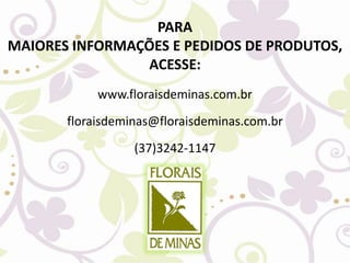 PARA
MAIORES INFORMAÇÕES E PEDIDOS DE PRODUTOS,
ACESSE:
www.floraisdeminas.com.br
floraisdeminas@floraisdeminas.com.br
(37)3242-1147
 