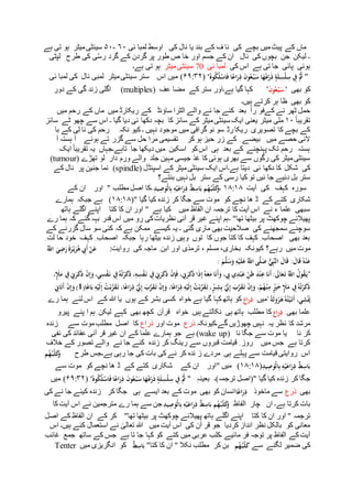 قر آن کے آئینے میں 'موت کا منظر ' اور جنت دوزخ.عالم ِ برزخ میں انسانی ...