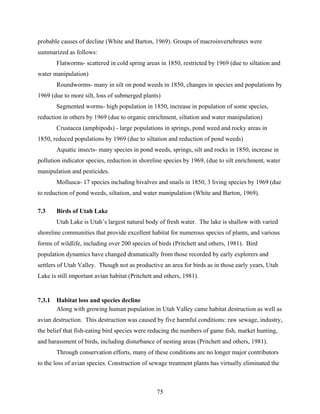 75
probable causes of decline (White and Barton, 1969). Groups of macroinvertebrates were
summarized as follows:
Flatworms- scattered in cold spring areas in 1850, restricted by 1969 (due to siltation and
water manipulation)
Roundworms- many in silt on pond weeds in 1850, changes in species and populations by
1969 (due to more silt, loss of submerged plants)
Segmented worms- high population in 1850, increase in population of some species,
reduction in others by 1969 (due to organic enrichment, siltation and water manipulation)
Crustacea (amphipods) - large populations in springs, pond weed and rocky areas in
1850, reduced populations by 1969 (due to siltation and reduction of pond weeds)
Aquatic insects- many species in pond weeds, springs, silt and rocks in 1850, increase in
pollution indicator species, reduction in shoreline species by 1969, (due to silt enrichment, water
manipulation and pesticides.
Mollusca- 17 species including bivalves and snails in 1850, 3 living species by 1969 (due
to reduction of pond weeds, siltation, and water manipulation (White and Barton, 1969).
7.3 Birds of Utah Lake
Utah Lake is Utah’s largest natural body of fresh water. The lake is shallow with varied
shoreline communities that provide excellent habitat for numerous species of plants, and various
forms of wildlife, including over 200 species of birds (Pritchett and others, 1981). Bird
population dynamics have changed dramatically from those recorded by early explorers and
settlers of Utah Valley. Though not as productive an area for birds as in those early years, Utah
Lake is still important avian habitat (Pritchett and others, 1981).
7.3.1 Habitat loss and species decline
Along with growing human population in Utah Valley came habitat destruction as well as
avian destruction. This destruction was caused by five harmful conditions: raw sewage, industry,
the belief that fish-eating bird species were reducing the numbers of game fish, market hunting,
and harassment of birds, including disturbance of nesting areas (Pritchett and others, 1981).
Through conservation efforts, many of these conditions are no longer major contributors
to the loss of avian species. Construction of sewage treatment plants has virtually eliminated the
 