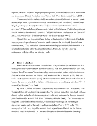 78
negelcta), Brewer’s blackbird (Euphagus cyanocephalus), house finch (Carpodacus mexicanus),
and American goldfinch ( Carduelis tristis) (Central Utah Water Conservancy District, 2004b).
Water related species include: double-crested cormorant (Phalacrocorax auritus), black-
crowned night-heron (Nycticorax nycticorax), sandhill crane (Grus canadensis), common snipe
(Capella gallinago), Killdeer (Charadrius vociferous), black-necked stilt (Himantopus
mexicanus), Wilson’s phalarope (Steganopus tricolor), pied-billed grebe (Podilymbus podiceps),
western grebe (Aechmophorus occidentalis), California gull (Larus californicus), and ring-billed
gull (Larus delawarensis) (Central Utah Water Conservancy District, 2004b).
Though there has been a significant decline in the diversity of bird species in Utah Lake
in recent years, the populations of remaining species appear to be thriving (S. Rushforth, oral
communication, 2005). Populations of most of the remaining species have either increased or at
have least maintained a relatively constant abundance. Utah Lake provides a thriving
environment for both resident and migratory birds.
7.4 Fishes of Utah Lake
Utah Lake is a shallow, warm, freshwater lake. Early accounts describe a beautiful lake
teaming with native cutthroat trout, mountain whitefish, Utah chub, leatherside chub, least chub,
longnose dace, Utah sucker, Webug sucker, June sucker, mountain sucker, mottled sculpin, and
Utah lake sculin (Heckmann and others, 1981). Since the arrival of the early settlers there has
been a steady decline in fisheries quality (Heckmann and others, 1981). Introduced species have
become the most prevalent fish in the lake, with the common carp making up more than 90% of
the total fish biomass (Cook, 2000).
By 1949, 25 species of fish had been purposely introduced into Utah Lake (Popov, 1949).
Thirteen of those introductions were unsuccessful. The common carp, white bass, black bullhead,
channel catfish, and walleyed pike were most successful, and continue to be the most abundant
game fish in the lake (Central Utah Water Conservancy District, 2004c). Two minnow species,
the golden shiner and the fathead minnow, were introduced as forage fish for the larger
piscivorous species such as the walleye and largemouth bass (Popov, 1949). In the 1981
monograph of Utah Lake, the golden shiner is listed as possibly established, and the fathead
minnow is listed as occasional. The Utah Division of Wildlife Resources reports capturing
 