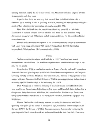 81
reaching maximum size by the end of their second year. Maximum calculated length is 295mm
for ages one through four years.
Reproduction: There has been very little research done on bullheads in the lake to
determine age at maturity or time of spawning. However, spawning has been observed during the
month of July when the water temperature is typically around 65-77 F.
Diet: Black bullheads have the most diverse diet of any game fish in Utah Lake.
Examination of stomach contents show 11 different food items, the most dominant being
chironomids (midge larvae). Other items include insects, and frogs. No fish were found in the
stomach contents.
Harvest: Black bullheads are reported as the fish most commonly caught by fishermen in
Utah Lake. The average catch rate in 1958 was 0.38 fish per hour. In 1970 that rate had
increased to 0.74 fish per hour. (Heckmann and others, 1981)
Walleye
Walleye were first introduced into Utah Lake in 1952. There have been several
reintroductions since that time. The maximum length recorded for mature male walleye is 399
mm, 465 for female.
Reproduction: Walleye may begin spawning at 2 years of age for male and 3 years of age
for female; but most spawning takes place in individuals between the age of three and five years.
Spawning starts by about mid-March and runs until mid-April. Because of the popularity of this
species with sport fishermen, the Utah Division of Wildlife resources conducted studies aimed at
increasing reproduction of walleye in the lake during the 1970’s.
Diet: Walleye diet is composed primarily of fish. Early studies showed the fish eaten
were small forage fish such as redside shiner, yellow perch, and Utah chub. Later studies show a
change from forage fish to carp, white bass, and channel catfish. Smaller forage fish are now
rarely found in the lake. Other items in the walleye diet consist of, chironmids, copepods, and
liptodorans.
Harvest: Walleye harvest is mostly seasonal, occurring in conjunction with March
spawning. Fifty years ago the harvest of walleye was light, with almost no fish being taken. In
the years 1970-73 the Division of Wildlife Resources measured fishermen harvest during the
spawning run in March on the Provo River and around Utah Lake State Boat Park. Fishermen
 